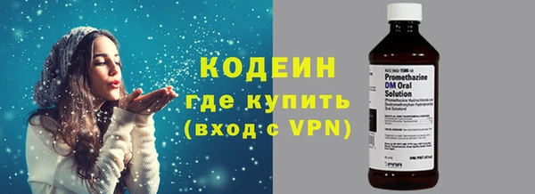 индика Богданович