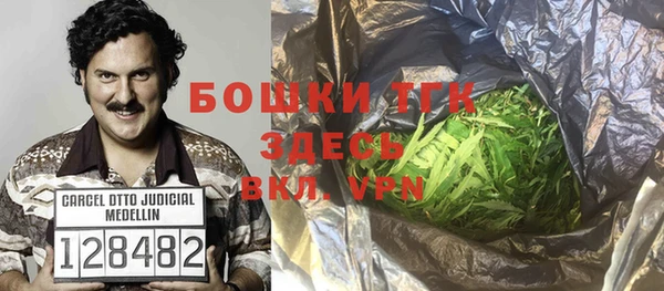 стаф Аркадак