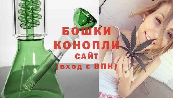 индика Богданович