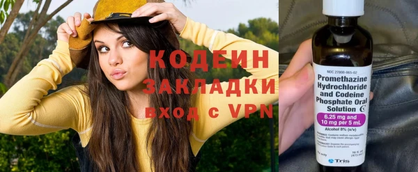 шишки Балабаново