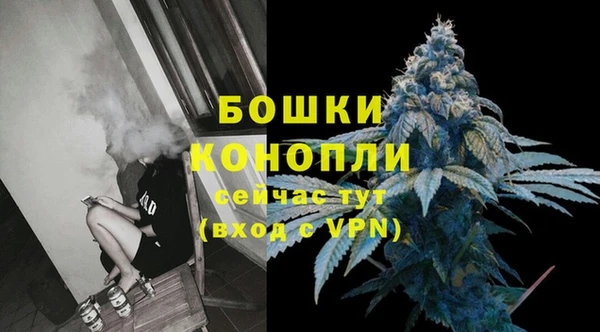 индика Богданович