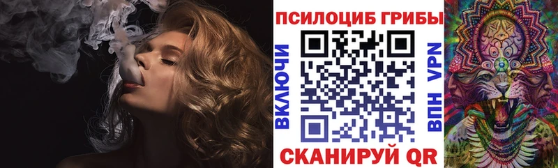 Галлюциногенные грибы Psilocybine cubensis  магазин  наркотиков  Красный Кут 